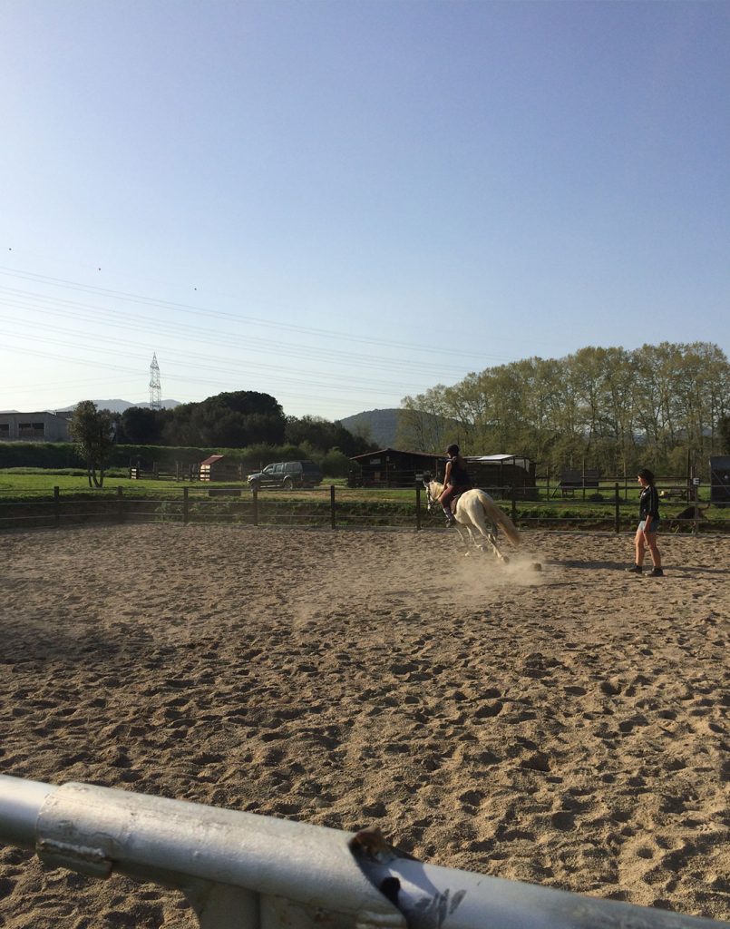 L'escut-cavalls-Pista