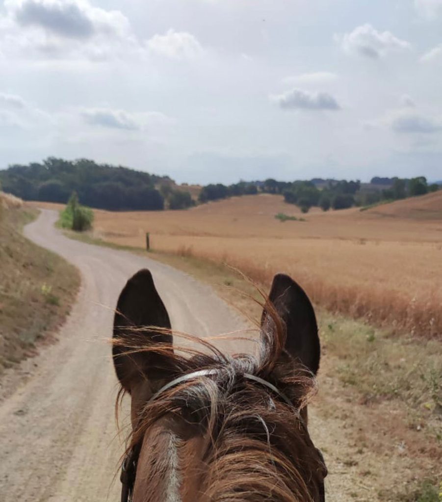 rutes a cavalls girona vall del llémena